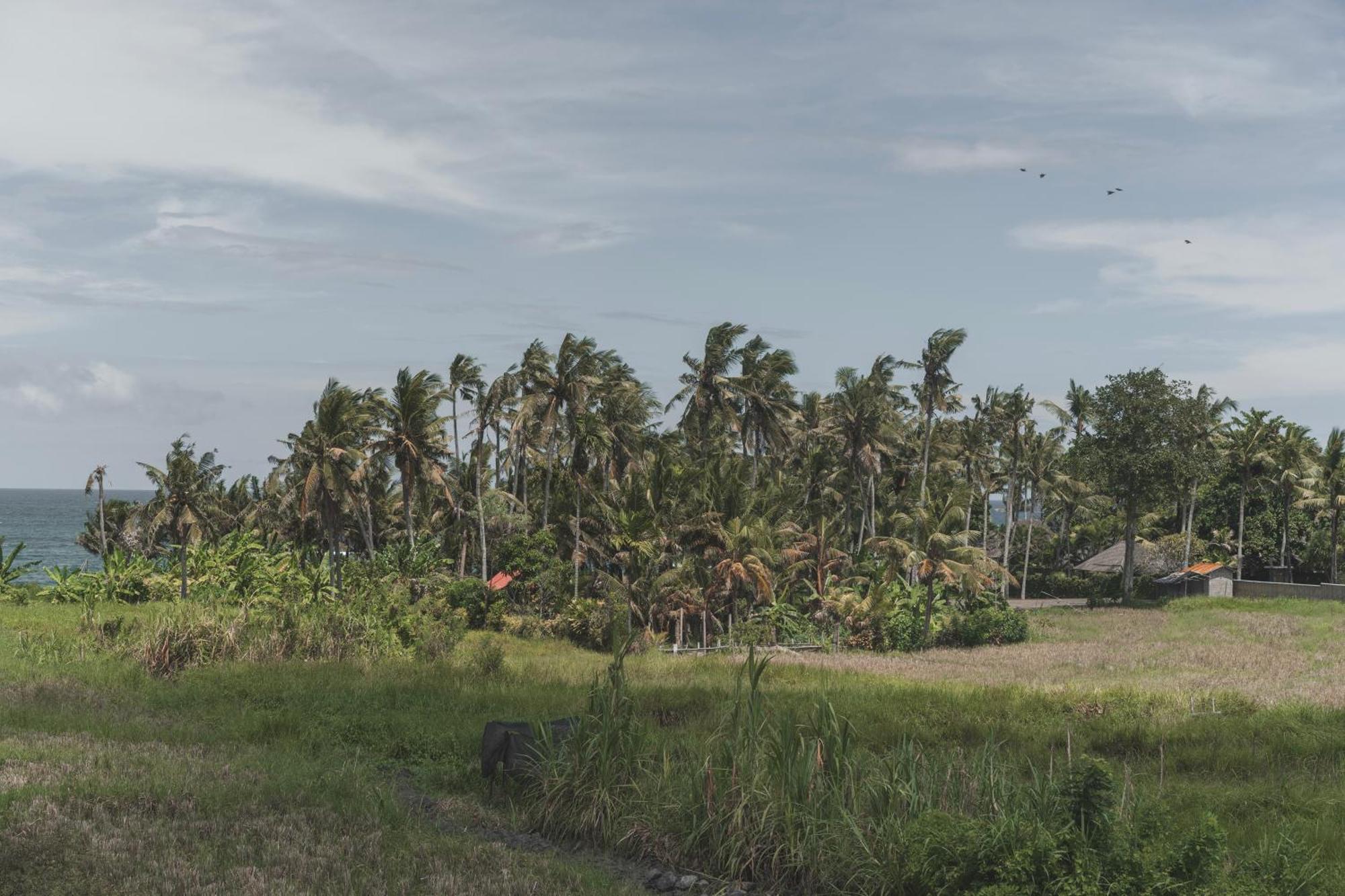 Dune Seseh Munggu Exterior photo